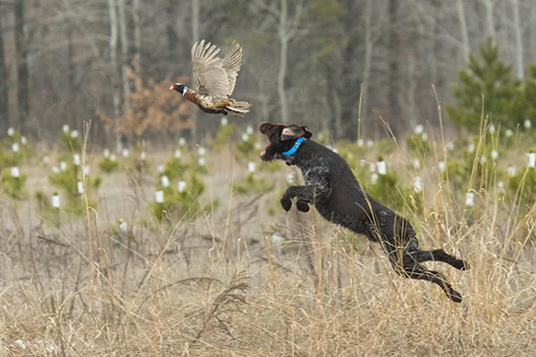 Schnapp Dir einen Ausbildungsplatz